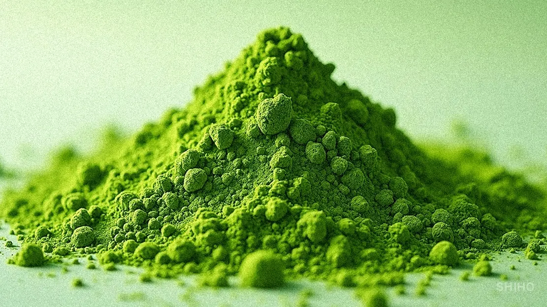 말차(matcha) 이미지