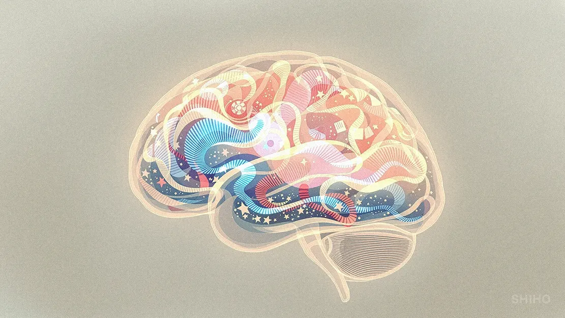 렘수면과 비렘수면